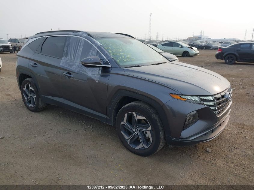 2024 Hyundai Tucson Luxury Awd VIN: KM8JCCD12RU232567 Lot: 12397212
