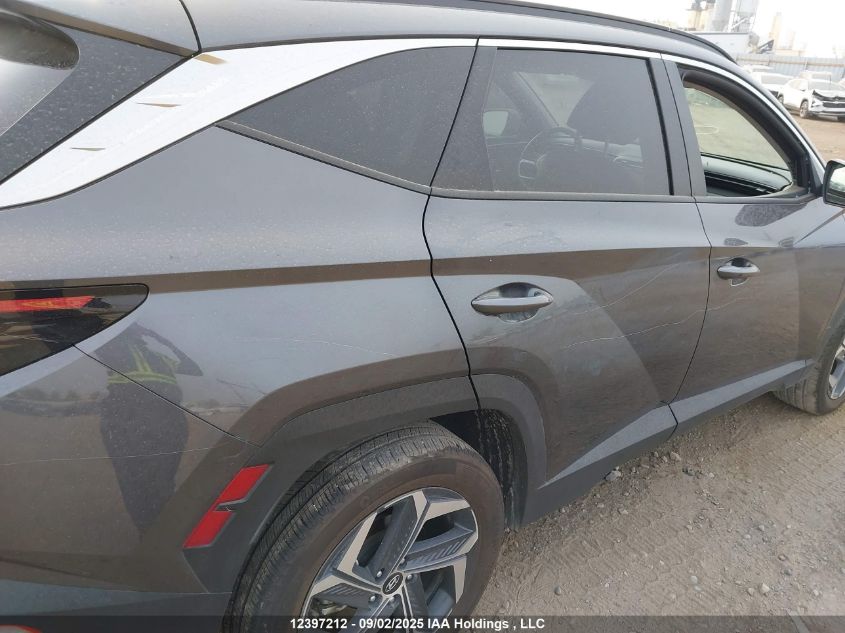 2024 Hyundai Tucson Luxury Awd VIN: KM8JCCD12RU232567 Lot: 12397212