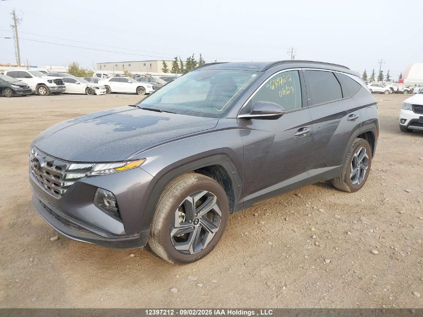 2024 Hyundai Tucson Luxury Awd VIN: KM8JCCD12RU232567 Lot: 12397212