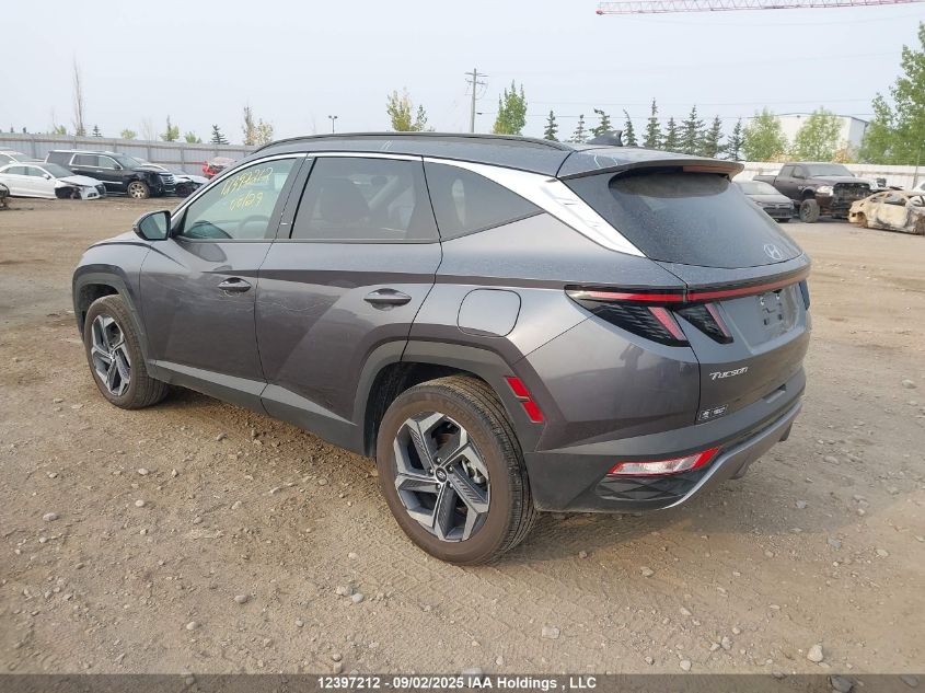 2024 Hyundai Tucson Luxury Awd VIN: KM8JCCD12RU232567 Lot: 12397212