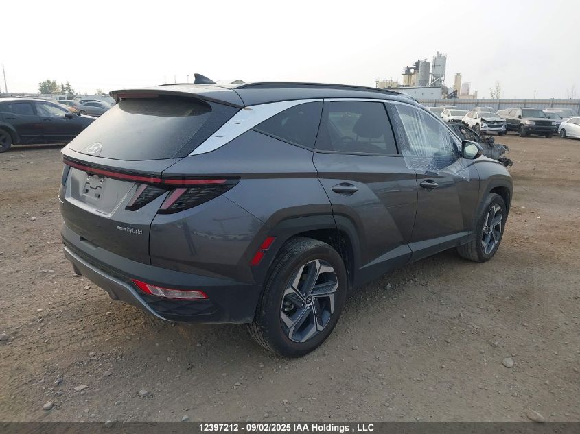 2024 Hyundai Tucson Luxury Awd VIN: KM8JCCD12RU232567 Lot: 12397212