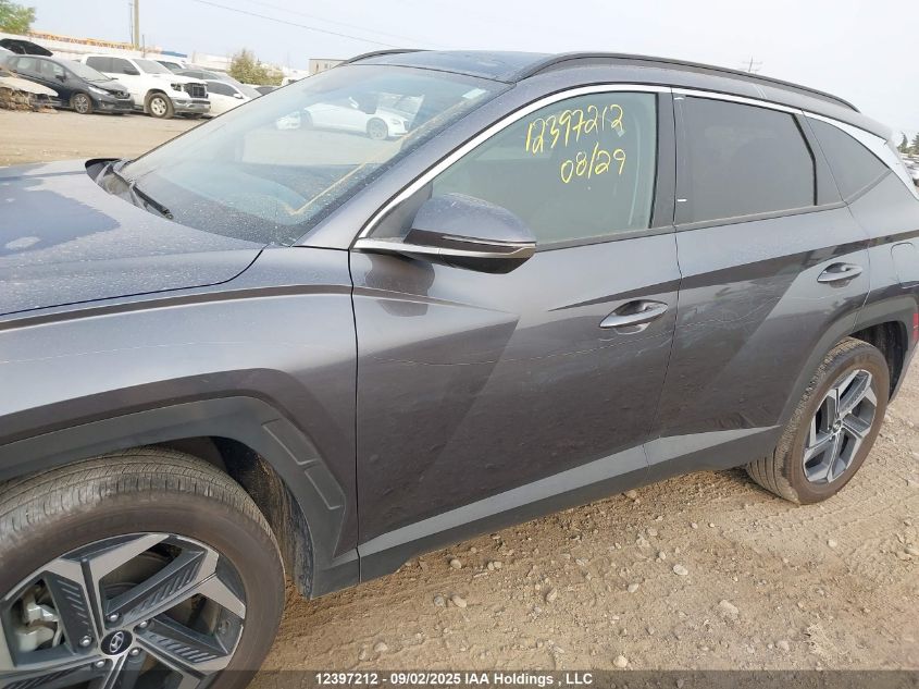 2024 Hyundai Tucson Luxury Awd VIN: KM8JCCD12RU232567 Lot: 12397212