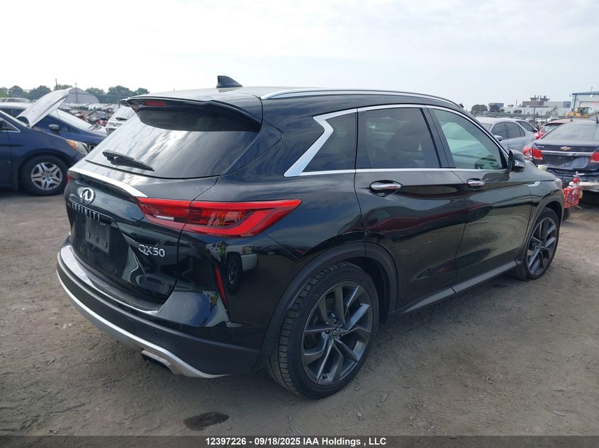 3PCAJ5M33KF146321 2019 INFINITI QX50 photo no. 13