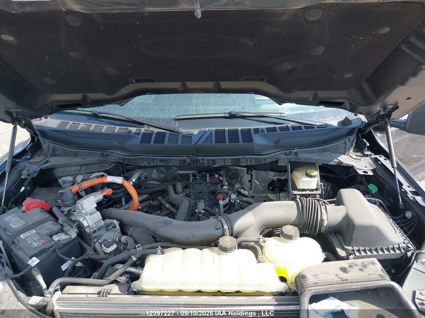 1FTFW5LD8RFB49903 2024 FORD F-150 photo no. 10