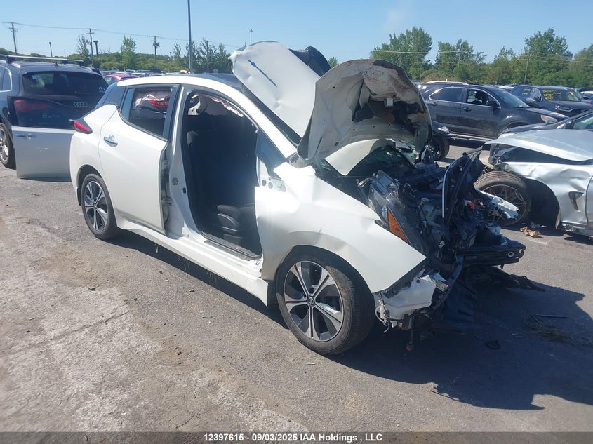 1N4AZ1CP2KC316242 2019 Nissan Leaf S/Sl/Sv auction photo 1