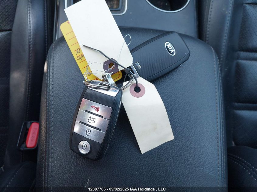 2020 Kia Sorento 3.3L Ex/3.3L Ex+ VIN: 5XYPHDA54LG619739 Lot: 12397705