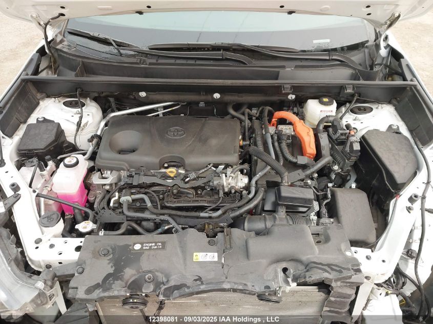 2024 Toyota Rav4 Xse VIN: 2T35WRFV6RW238035 Lot: 12398081