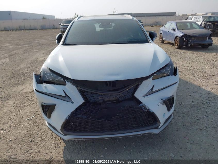 2020 Lexus Nx 300 F Sport VIN: JTJSARDZXL2218679 Lot: 12398193
