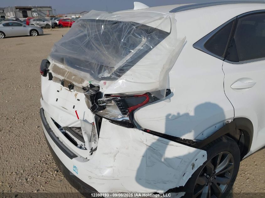 2020 Lexus Nx 300 F Sport VIN: JTJSARDZXL2218679 Lot: 12398193