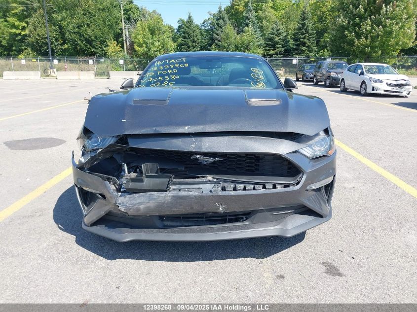 2019 Ford Mustang VIN: 1FA6P8TH5K5205380 Lot: 12398268