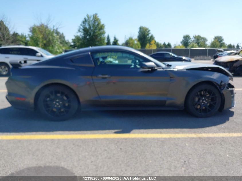 2019 Ford Mustang VIN: 1FA6P8TH5K5205380 Lot: 12398268