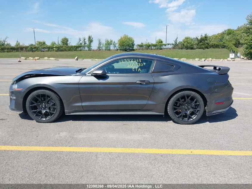 2019 Ford Mustang VIN: 1FA6P8TH5K5205380 Lot: 12398268