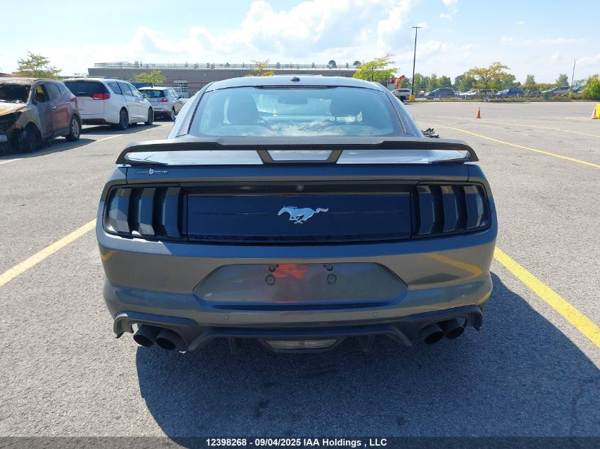 2019 Ford Mustang VIN: 1FA6P8TH5K5205380 Lot: 12398268