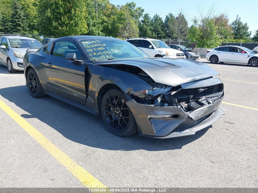 1FA6P8TH5K5205380 2019 Ford Mustang auction photo 1