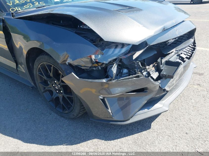 2019 Ford Mustang VIN: 1FA6P8TH5K5205380 Lot: 12398268