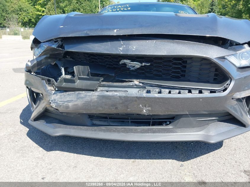 2019 Ford Mustang VIN: 1FA6P8TH5K5205380 Lot: 12398268