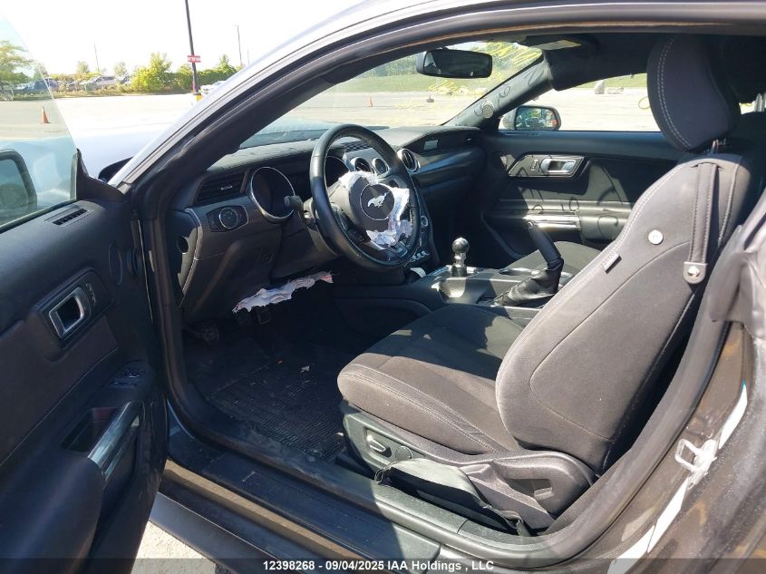 2019 Ford Mustang VIN: 1FA6P8TH5K5205380 Lot: 12398268