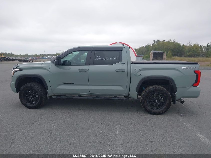 2025 Toyota Tundra Crewmax Sr/Crewmax Sr5 VIN: 5TFLA5DB4SX246241 Lot: 12398587