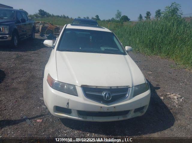 2004 Acura Tsx VIN: JH4CL96824C804812 Lot: 12399158