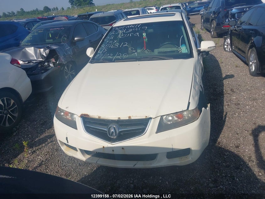 2004 Acura Tsx VIN: JH4CL96824C804812 Lot: 12399158