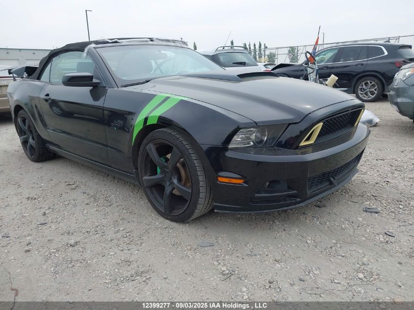 FORD MUSTANG Mustang Convertible