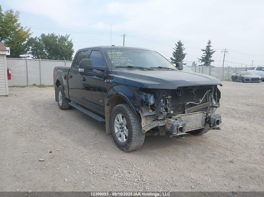 1FTFW1EG6GKF22439 2016 Ford F-150 Xlt auction photo 1