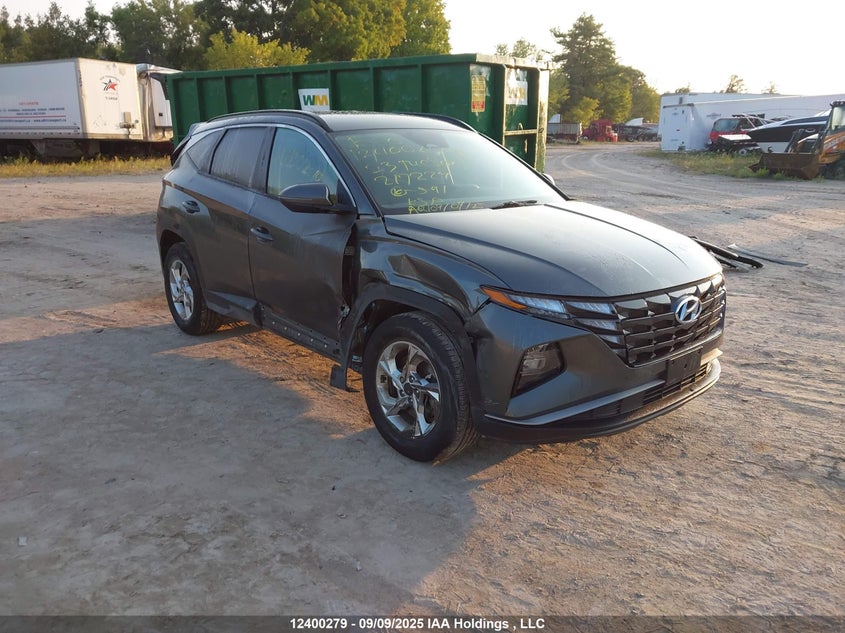 KM8JBCAE7PU217229 2023 Hyundai Tucson Preferred Awd auction photo 1