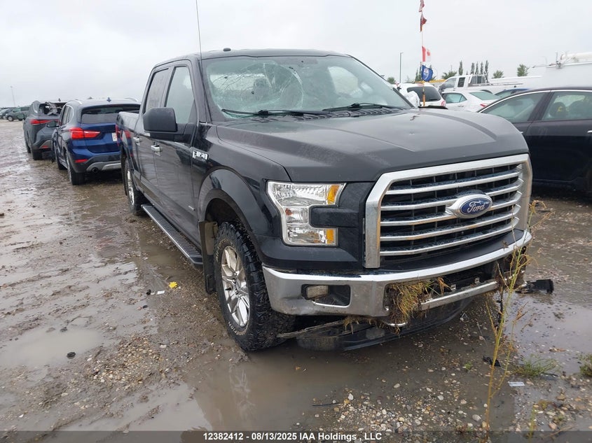 1FTFW1EG3FFA44990 2015 Ford F-150 Xlt auction photo 1