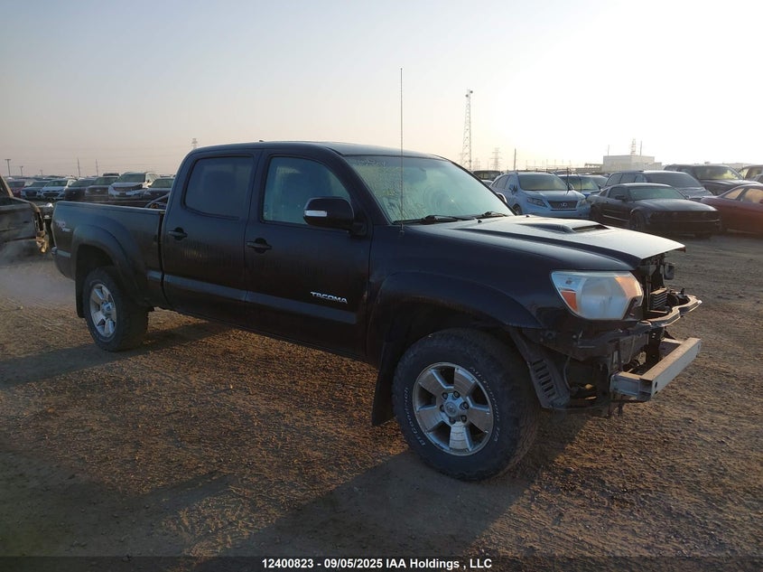 5TFMU4FN5CX004556 2012 Toyota Tacoma V6 auction photo 1