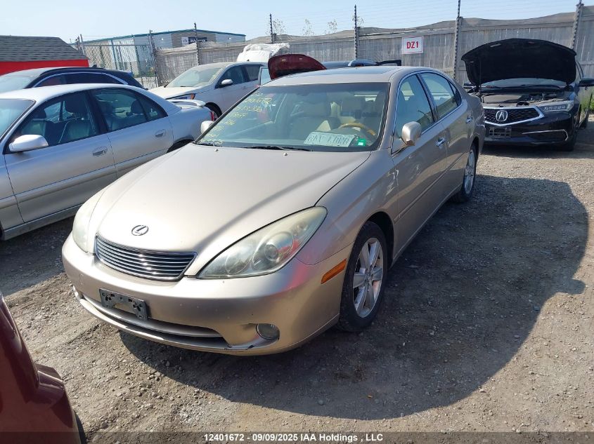 2005 Lexus Es 330 VIN: JTHBA30G655113044 Lot: 12401672