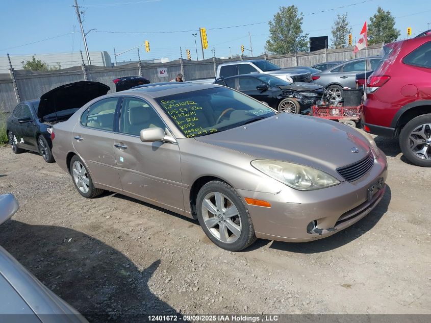2005 Lexus Es 330 VIN: JTHBA30G655113044 Lot: 12401672