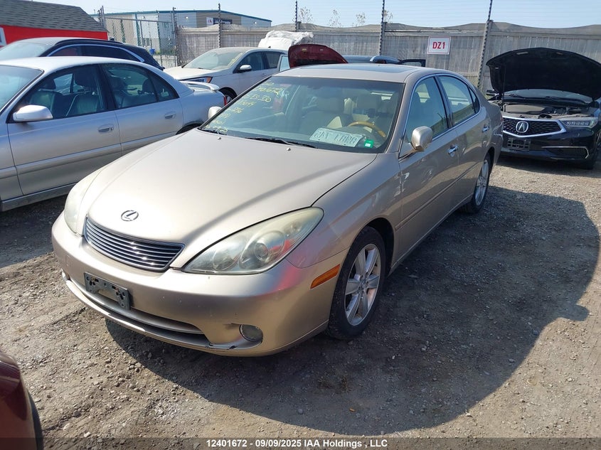 JTHBA30G655113044 2005 LEXUS ES photo no. 2