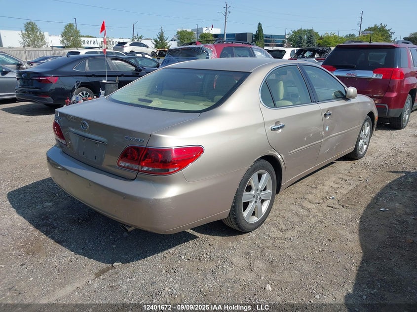 JTHBA30G655113044 2005 LEXUS ES photo no. 4