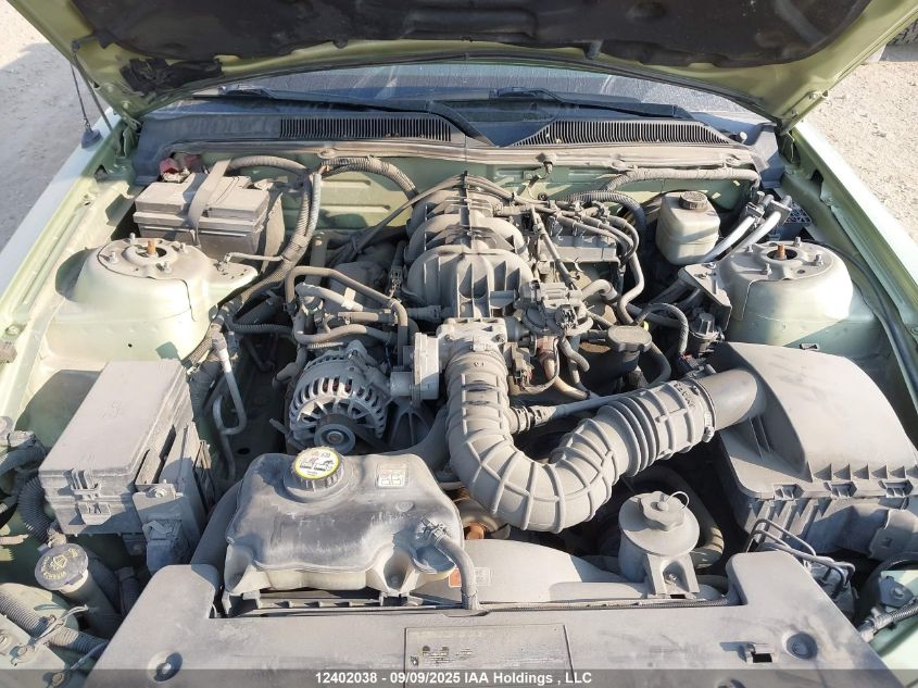 2005 Ford Mustang Convertible VIN: 1ZVFT84N355255383 Lot: 12402038