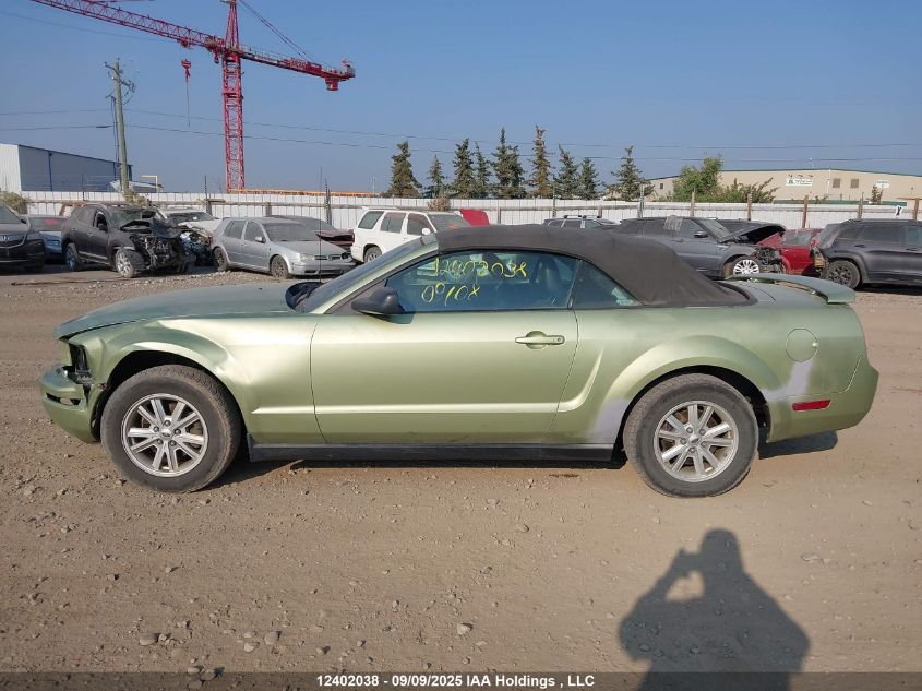 2005 Ford Mustang Convertible VIN: 1ZVFT84N355255383 Lot: 12402038