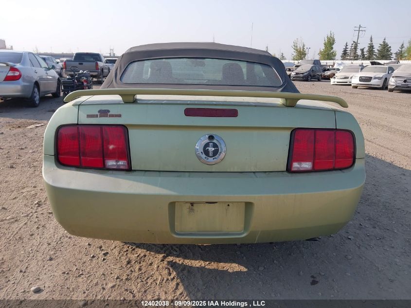 2005 Ford Mustang Convertible VIN: 1ZVFT84N355255383 Lot: 12402038