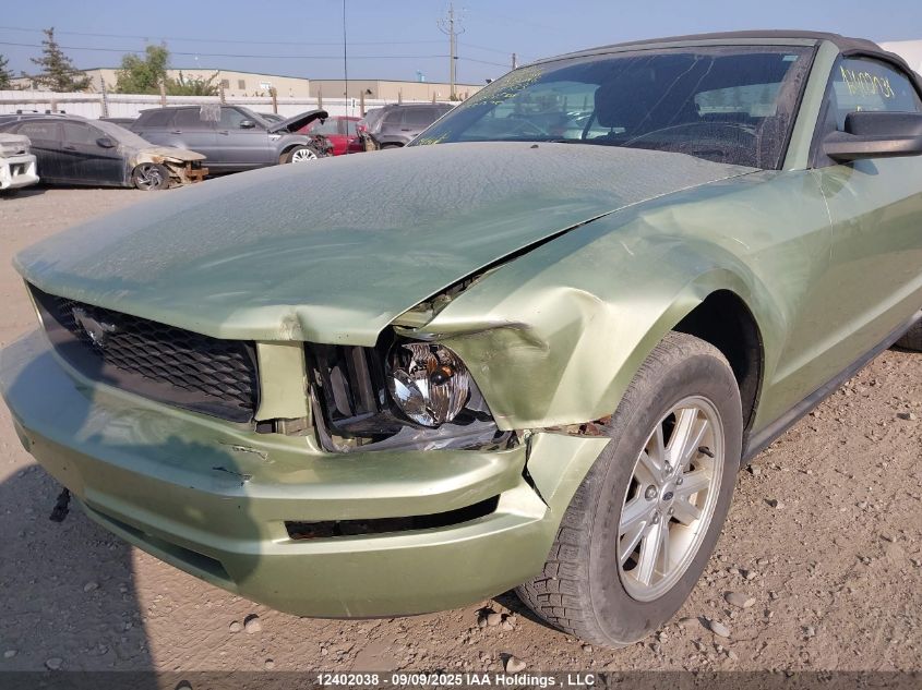 2005 Ford Mustang Convertible VIN: 1ZVFT84N355255383 Lot: 12402038