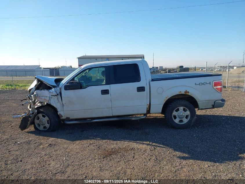 2009 Ford F150 Supercrew VIN: 1FTRW148X9FA95995 Lot: 12402706