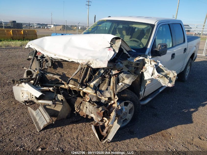 2009 Ford F150 Supercrew VIN: 1FTRW148X9FA95995 Lot: 12402706