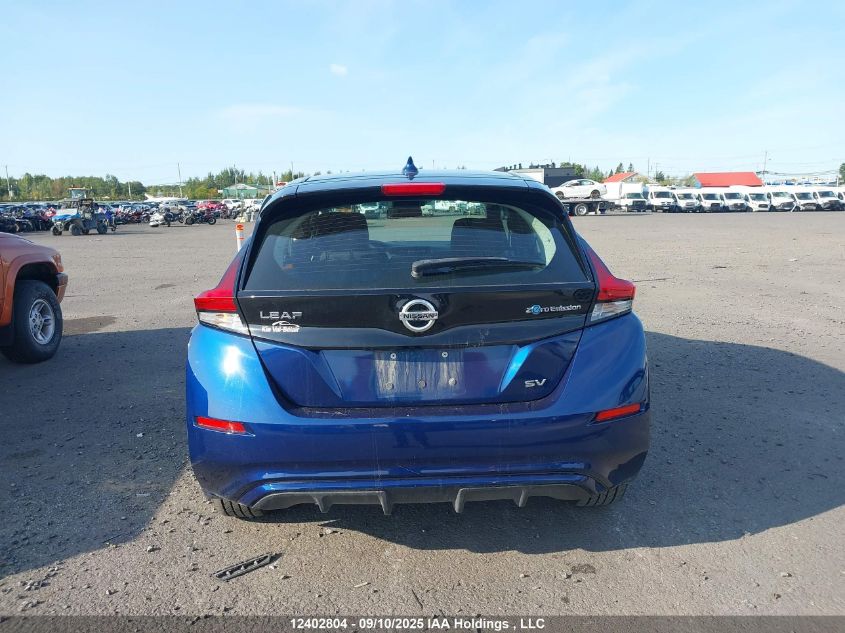 2018 Nissan Leaf S/Sv/Sl VIN: 1N4AZ1CP4JC316869 Lot: 12402804