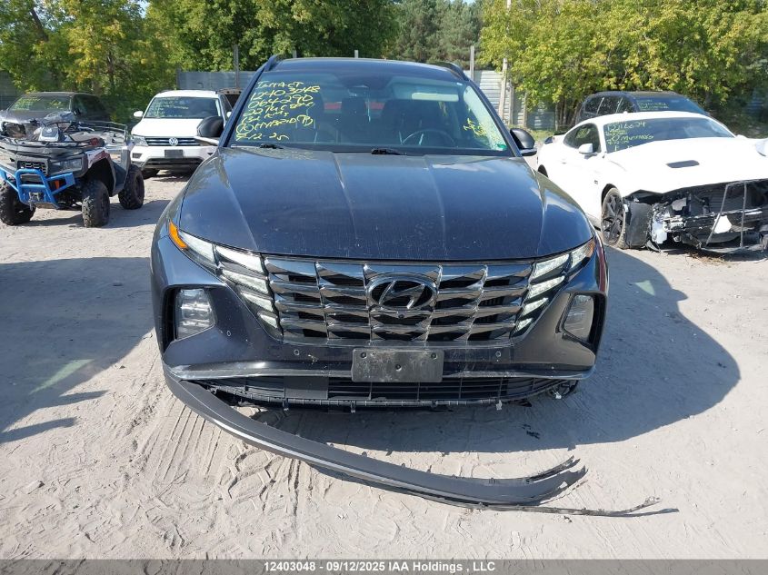 2022 Hyundai Tucson Hybrid VIN: KM8JCCA11NU064290 Lot: 12403048