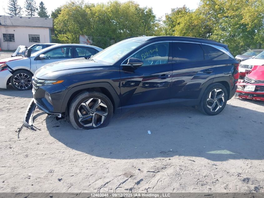 2022 Hyundai Tucson Hybrid VIN: KM8JCCA11NU064290 Lot: 12403048