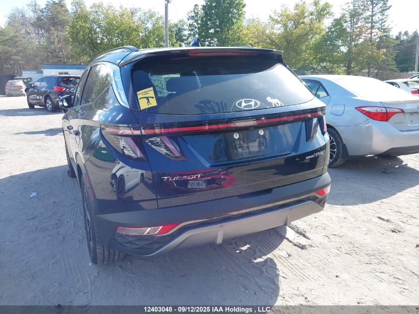 2022 Hyundai Tucson Hybrid VIN: KM8JCCA11NU064290 Lot: 12403048