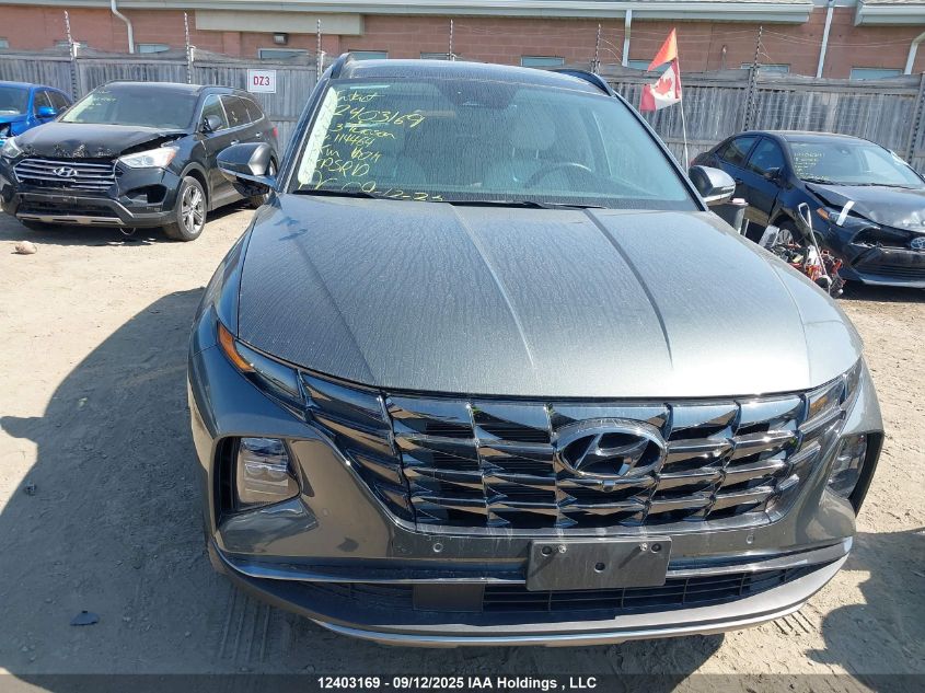 2023 Hyundai Tucson Hybrid VIN: KM8JCCA13PU114464 Lot: 12403169