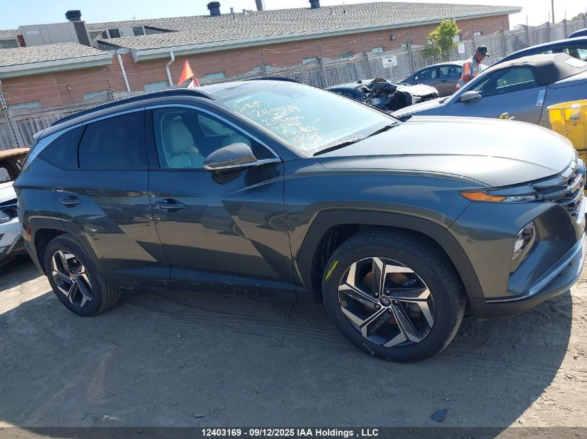 2023 Hyundai Tucson Hybrid VIN: KM8JCCA13PU114464 Lot: 12403169