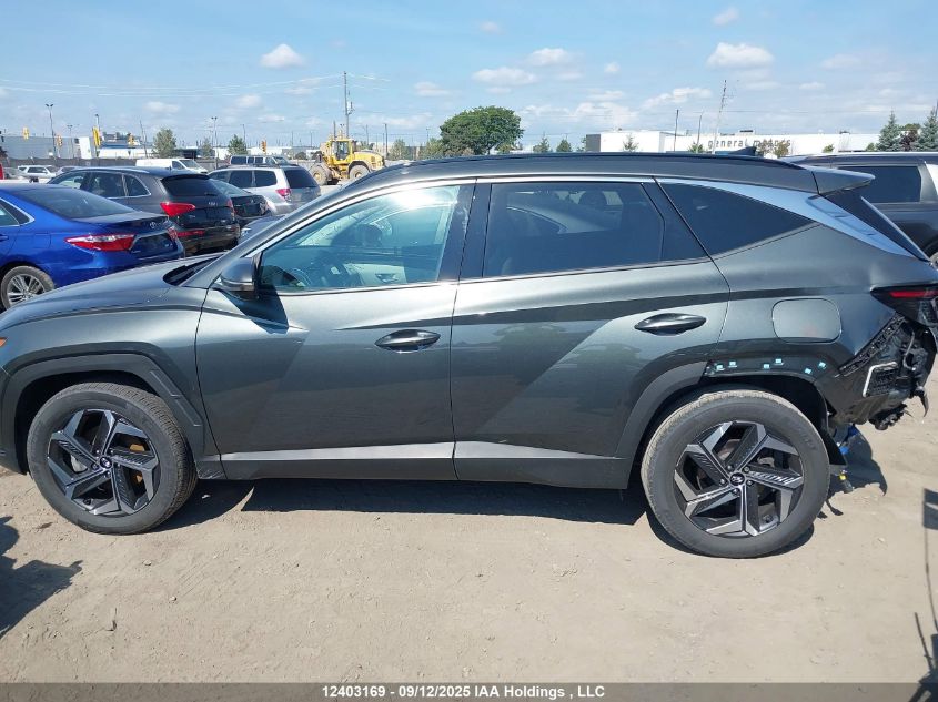 2023 Hyundai Tucson Hybrid VIN: KM8JCCA13PU114464 Lot: 12403169