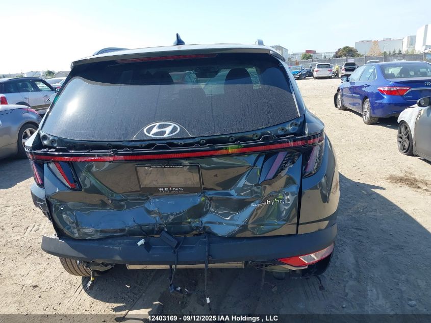 2023 Hyundai Tucson Hybrid VIN: KM8JCCA13PU114464 Lot: 12403169