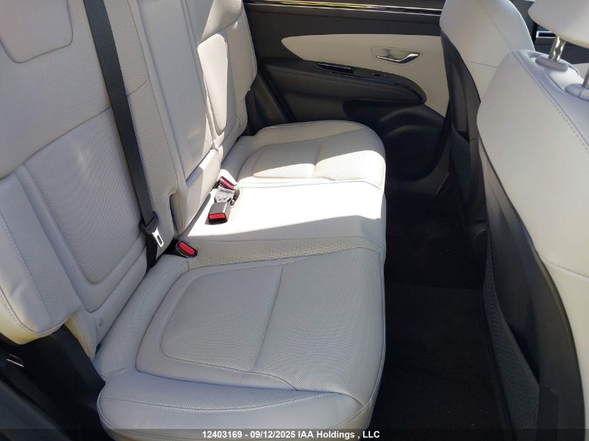 2023 Hyundai Tucson Hybrid VIN: KM8JCCA13PU114464 Lot: 12403169