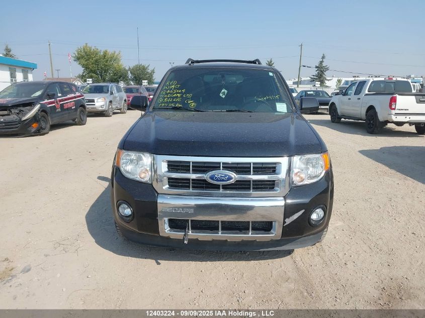 2011 Ford Escape Limited VIN: 1FMCU9EG8BKB42286 Lot: 12403224