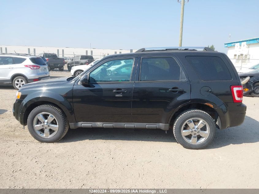 2011 Ford Escape Limited VIN: 1FMCU9EG8BKB42286 Lot: 12403224